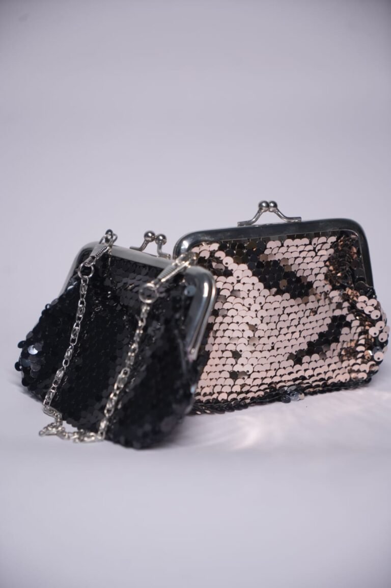 Small disco shine pouch